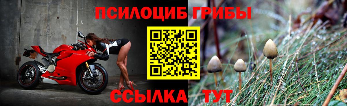 Псилоцибиновые грибы ЛСД  Вход с VPN  Псилоцибиновые грибы мицелий  магазин продажи   Алапаевск 